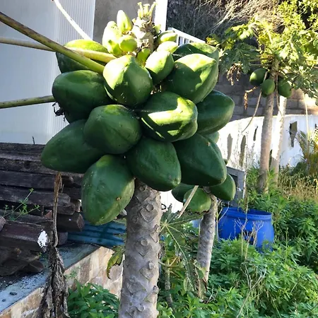 La Casita De Lucho 펜션