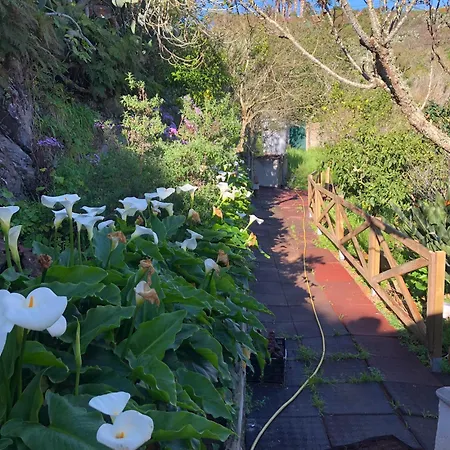 펜션 La Casita De Lucho Firgas