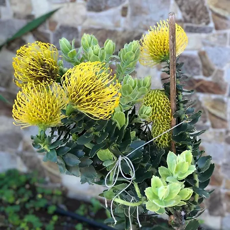 La Casita De Lucho 펜션 Firgas