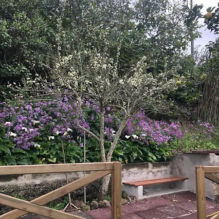 펜션 La Casita De Lucho Firgas